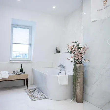 克莱纳玫瑰园酒店 4*