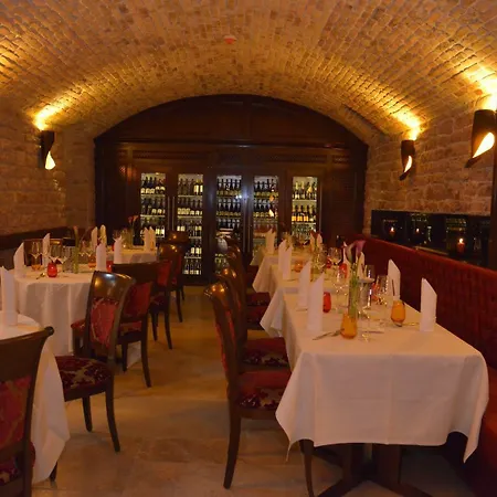 克莱纳玫瑰园酒店 酒店 曼海姆