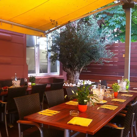 克莱纳玫瑰园酒店