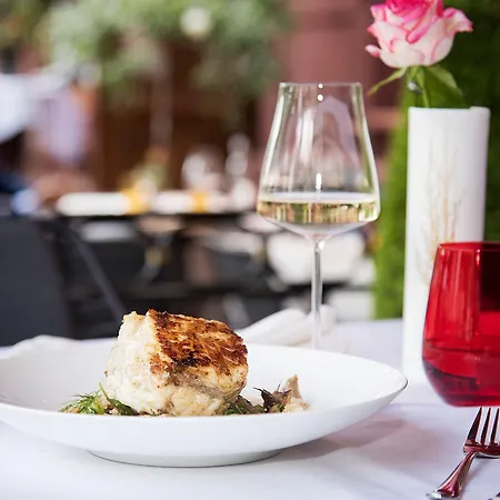 克莱纳玫瑰园酒店 酒店 4*