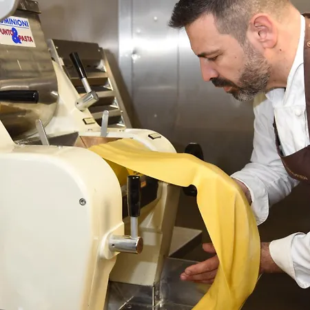 酒店 克莱纳玫瑰园酒店 曼海姆